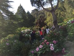 景山公园-景山公园