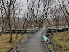 -西湖风景区-江洋畈生态公园