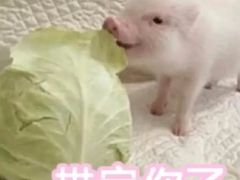 -摔碗酒(永兴坊店)