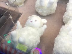 -天虹购物中心(石路店)