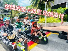 -圣淘沙天际线斜坡滑车
