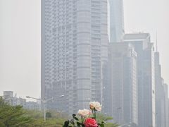 -深圳市人才园(深南大道店)
