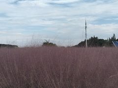 -嘉北郊野公园
