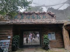 -燕塞湖鸟语林景区