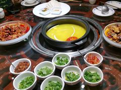 -志晖园圆子鸡·辣子鸡(阳光店)