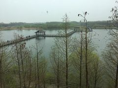 -溱湖国家湿地公园