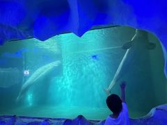 -威海华夏城景区