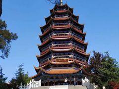 -铁山坪森林公园