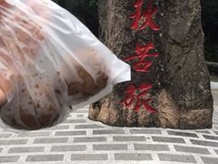 -金盆阿嬷香菇茶叶蛋(玄光店)