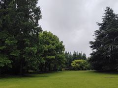 -上海滨江森林公园