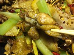 招牌干锅牛蛙香辣味-蛙蛙叫干锅年代(簋街总店)