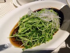 -樽宴酒楼·地道川菜·品质宴请