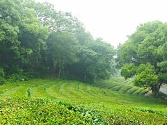 -敬亭山风景名胜区