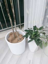 -HEYAN荷妍专业脱毛连锁机构