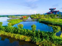 -芒洲湿地公园