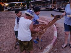 -清迈夜间动物园