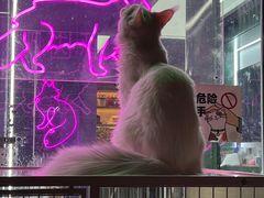 -白魁老号饭庄(安内店)