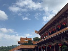 -深圳仙湖植物园