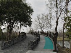 -溱湖国家湿地公园