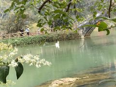 -靖西鹅泉风景区