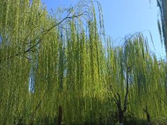 -南翠屏公园