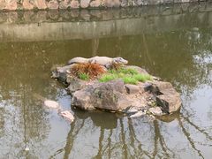 -上海野生动物园
