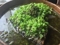 翡翠极品鱼头-听香·678茶铺(猛追湾店)