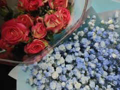 -循礼门鲜花花市(武汉循礼门店)