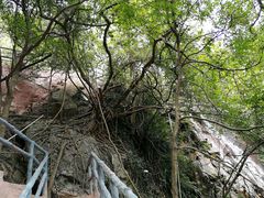 -牛鱼嘴原始生态风景区