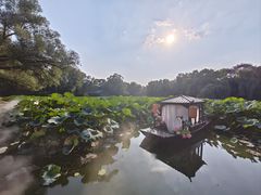 -北陵公园