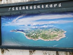 -广东惠东海龟国家级自然保护区