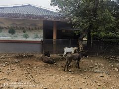 -无锡动物园·太湖欢乐园