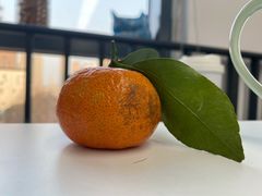 -叶氏兄弟果业(文二西路店)