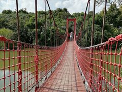 -上海吴淞炮台湾国家湿地公园