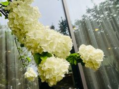 -苏州太湖国际会议中心