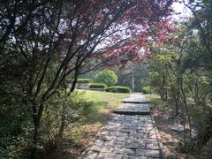 -浮山香苑