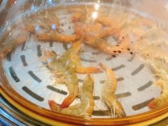 -海博汇蒸汽海鲜