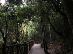 -永泰中国云顶