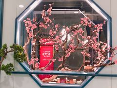 -老板恋上鱼(振华商厦店)