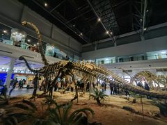 -自贡恐龙博物馆