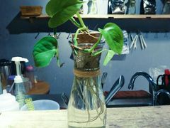 -罗莎蛋糕(南门口店)