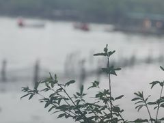 -湖畔居茶楼(湖滨店)