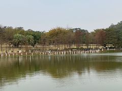 -东莞植物园