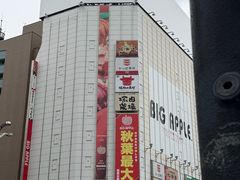 -秋叶原电器街