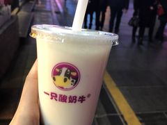 -一只酸奶牛(八一路店)