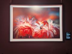 -罗红摄影艺术馆