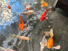 -天津海河悦榕庄·Lobby Lounge大堂吧