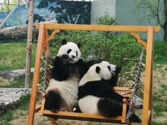 -鄂尔多斯野生动物园