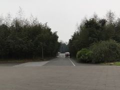 -都江堰中华大熊猫苑