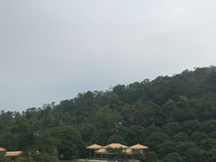 -崀山风景名胜区